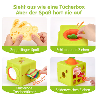 hahaland Baby Spielzeug 6 Monate - Silikon Tücher Box, Montessori Tücherbox Baby Sensorik Spielzeug, 6-in-1 Busy Würfel mit Tüchern, Spiegel, Beißring,Geschenk für Babyspielzeug ab 6 9 12 Monate
