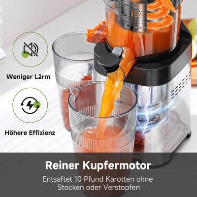 AMZCHEF Entsafter - Slow Juicer mit 135MM Breite und Größere Fütterungsröhre für Ganze Gemüse und Obst - Leicht zu Reinigender Entsafter mit 2 Gläsern - Silber