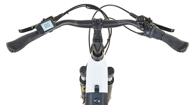 Prophete Geniesser 2.0 City E-Bike 28 Zoll - 360Wh - Integrierter Akku - Frontmotor - 7-Gang Nabenschaltung - HDY. Scheibenbremse - Rahmenhöhe 48 cm