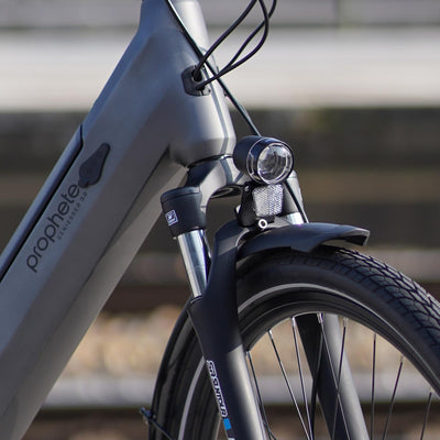 Prophete Geniesser 3.0 City E-Bike 28 Zoll - 360Wh - Integrierter Akku - Mittelmotor AEG - 7-Gang Nabenschaltung - HDY. Scheibenbremse - Rahmenhöhe 48 cm