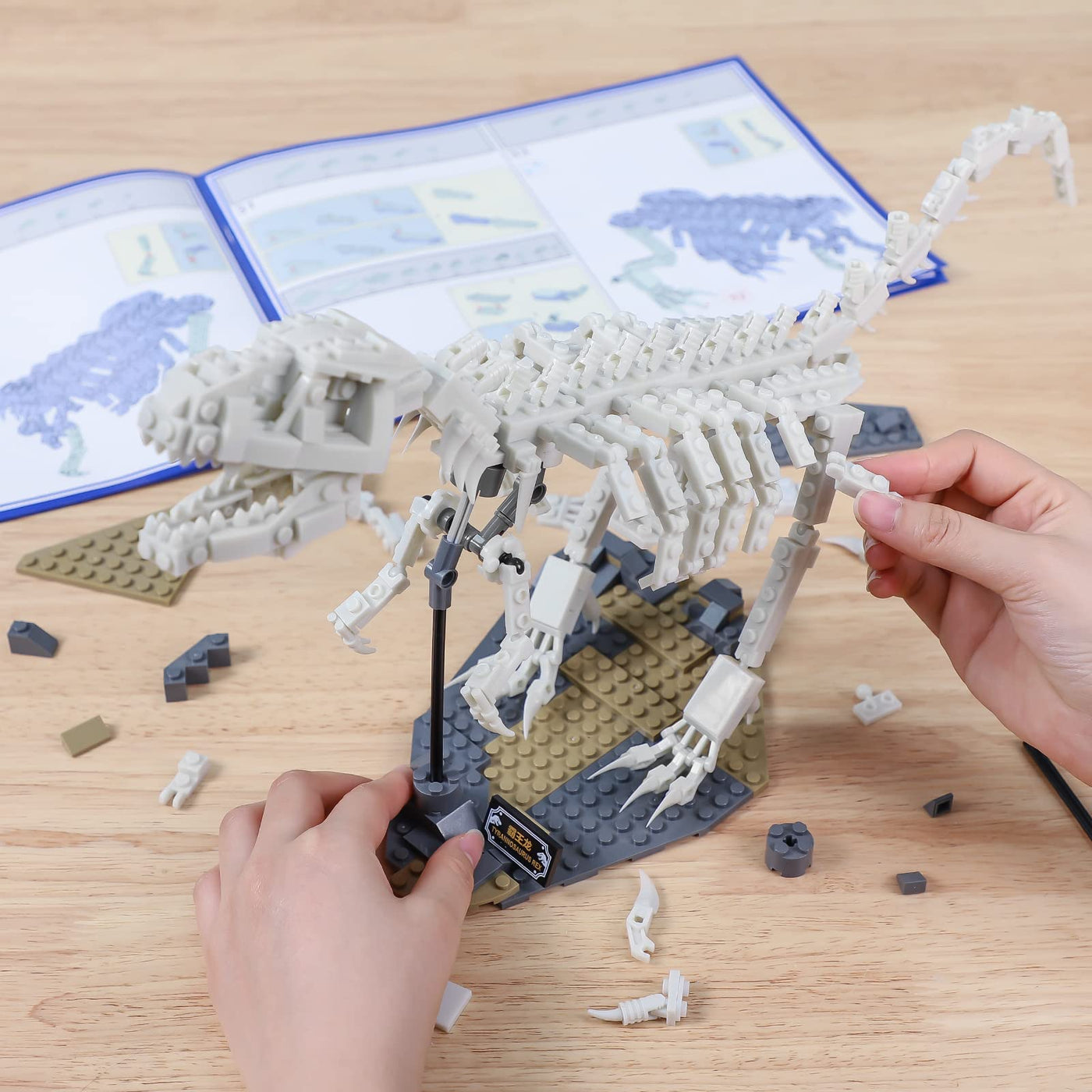 Jurassic Dinosaurier Skelett Baustein Set, kreatives T-Rex Luminous Bauspielzeug für Erwachsene, leuchtet im Dunkeln, Weihnachts-, Halloween- und Neujahrsgeschenk für Kinder von 8–14+ (435 Teile)