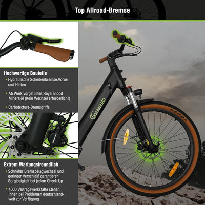 SachsenRAD E-SUV CityBike C5 Centro Riemen mit Diebstahlsicherung, ATB All Terrain E-Bikes Mittelmotor mit tiefem Einstieg,Alarmanlage, Elektrofahrrad Farbe Display Damen Herren Pedelec