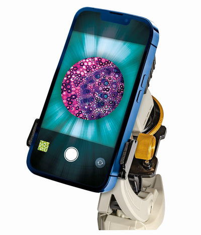 Galileo Lab Mein Mikroskop Deluxe - Experimentierkasten mit echtem Mikroskop & Smartphone-Halter, für Kinder ab 8 Jahren - 59349 von Clementoni