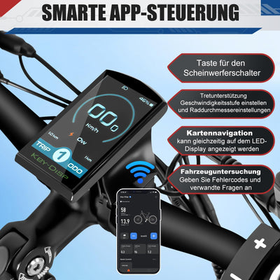 Skivogr E Bike Herren Damen, 30A/1440Wh Akku Elektrofahrrad, E Fatbike mit 26" x 4.0 Tire, City E-Bike mit 250W Motor, Elektro Fahrrad Mountainbike(Höhe über 173 cm, Tragfähigkeit 200 kg)