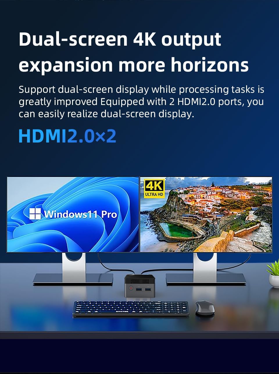 WayPonDEV BY51 Intel Alder Lake N100 Mini-Computer, Windows 11 Pro Mini-PC, LPDDR5 RAM, unterstützt Dual 4K Display, WiFi5/BT4.2, GbE für Büro-Heimkino-Gaming (12GB RAM +256G SSD)