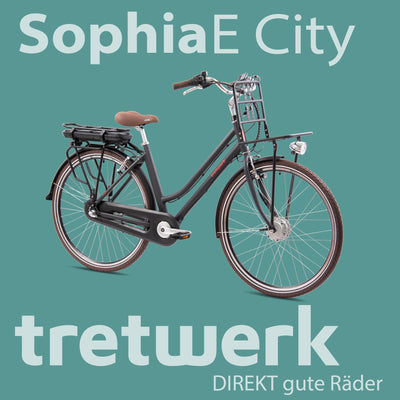 TRETWERK - 28 Zoll E-Bike Damen Pedelec - Sophia schwarz - E-Citybike Damenfahrrad mit 3 Gang Shimano Nexus Nabenschaltung - Elektrofahrrad mit Frontmotor 250W, 36V