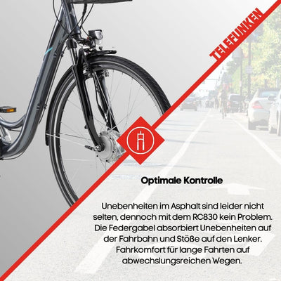 TELEFUNKEN E-Bike Damen 28 Zoll Elektrofahrrad - 3-Gang Nabenschaltung mit Rücktritt, Pedelec Citybike Alu mit Fahrradkorb, Frontmotor 250W /10,4Ah / 36V Sitzrohrakku, RC830 Multitalent