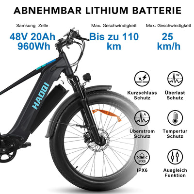HAOQI Eagle Elektrofahrrad für Erwachsene, 250W bürstenloser Motor Mountainbike mit 48V 20AH herausnehmbarem Akku,26" x 4.0 Fat Tire Ebike, Elektrofahrrad mit 7 Gängen bis zu 25 km/h