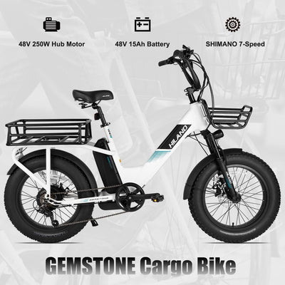 HILAND 20 Zoll 4.0 Fat Tire E Bike Cargo für Erwachsene, Aluminium Alloy Frame Fat Tire Elektrofahrrad, Suspension Fork Elektrofahrrad mit Gepäckträger für Damen und Herren Silber