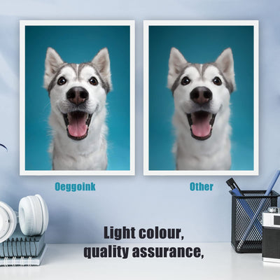 Oeggoink 510 511 Druckerpatrone Kompatibel für Canon 510 511 Druckerpatronen, Canon Patronen 510 511, PG-510 / CL-511 Schwarz und Farbe für Canon Pixma MP270 MP280 MP230 MP240 MP250 iP2700 MP495 MX360