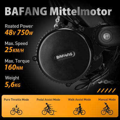 BAFANG Mittelmotor 36V 250W, 36V 500W, 48V 500W, 48V 750W, 48V 1000W BBS02B umbausatz (48V-750W-44T, C18 & 16Ah Battery)