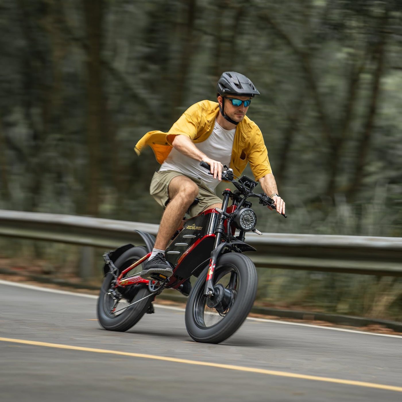 RZOGUWEX Elektrofahrrad, 20 Zoll 160NM Doppelmotor-Offroad-EBIKE für Erwachsene mit abnehmbarem 48V 30AH Lithium-Ionen-Akku, doppelte hydraulische Scheibenbremse