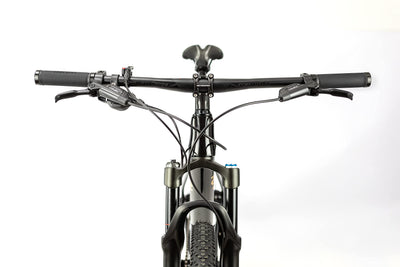 ICE MT10 Mountainbike, Rahmen aus Carbonfaser, 29 Zoll, 12 V, Farbe: Schwarz (19 Zoll)