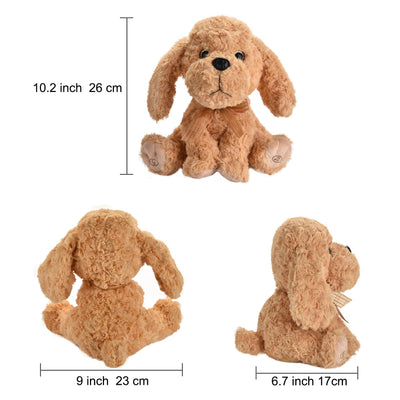 Interaktives singendes Plüschtier Hund, Nimmt auf und wiederholt, was du sagst, 8 Lieder, Kopf- und Ohrenbewegungen, Geburtstag für Kleinkinder von 3, 4, 5 und 6 Jahren (Goldendoodle-Spielzeug)