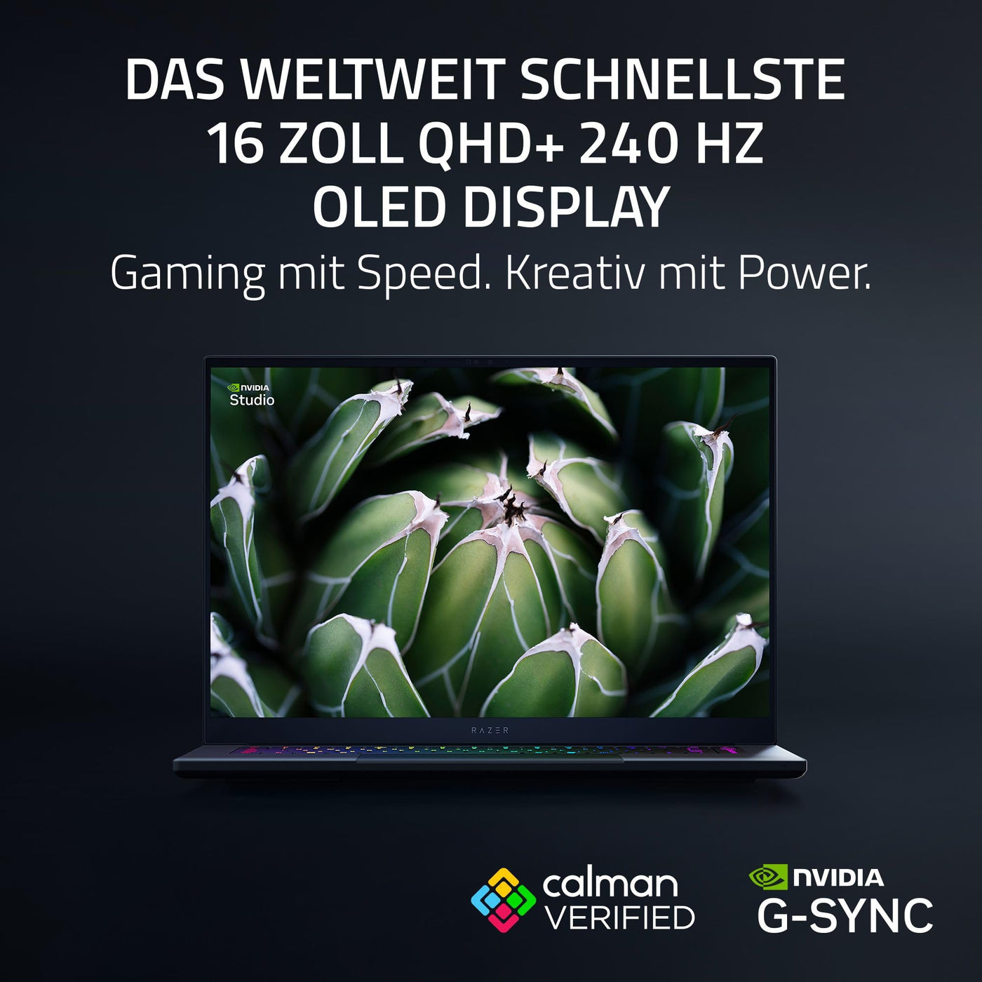 Razer Blade 16 (2025) - 16 Zoll AI Gaming Laptop - NVIDIA GeForce RTX 5070 Ti - AMD Ryzen AI 9 365-16" QHD+ 240Hz OLED Display - 32GB LPDDR5X 8000 MHz - 1TB SSD - QWERTZ DE-Layout | Schwarz