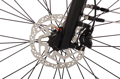 Rucanor Rio E-Bike 28″ (50 cm) – Shimano 7-Gang, Hydraulische Scheibenbremsen, 550 Wh Akku, matt schwarz – Damen