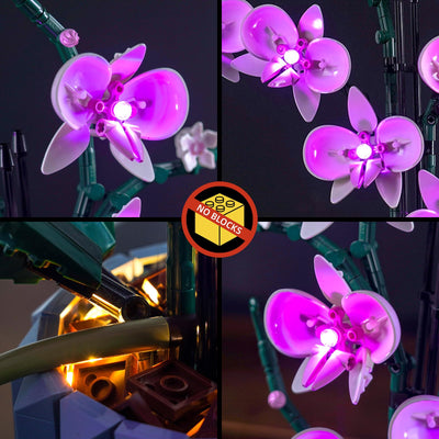 Led Licht Set Kompatibel mit Lego Orchidee (Nur Lichter, kein Baustein), Licht-Kit Compatible with Lego 10311 Orchidee Botanical Collection Set