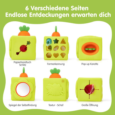 hahaland Baby Spielzeug 6 Monate - Silikon Tücher Box, Montessori Tücherbox Baby Sensorik Spielzeug, 6-in-1 Busy Würfel mit Tüchern, Spiegel, Beißring,Geschenk für Babyspielzeug ab 6 9 12 Monate