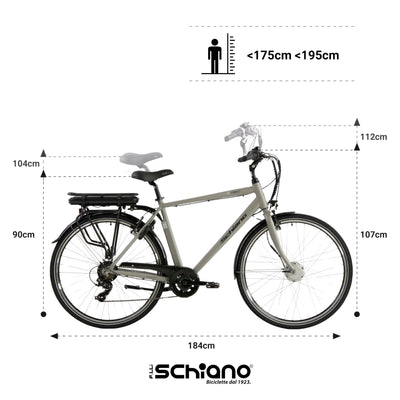 F.lli Schiano E-Moon, E Bike für die Stadt 28 Zoll, 36V 13Ah Abnehmbarer Akku, Motor 250W 40Nm, City Ebike für Herren, Grau