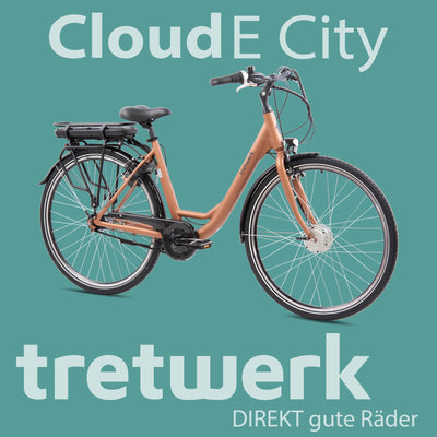TRETWERK 28 Zoll E-Bike Cloud Mars Metal - E-Citybike Damen Fahrrad mit 7 Gang Nabenschaltung - Elektrofahrrad mit Frontmotor 250W, 36V
