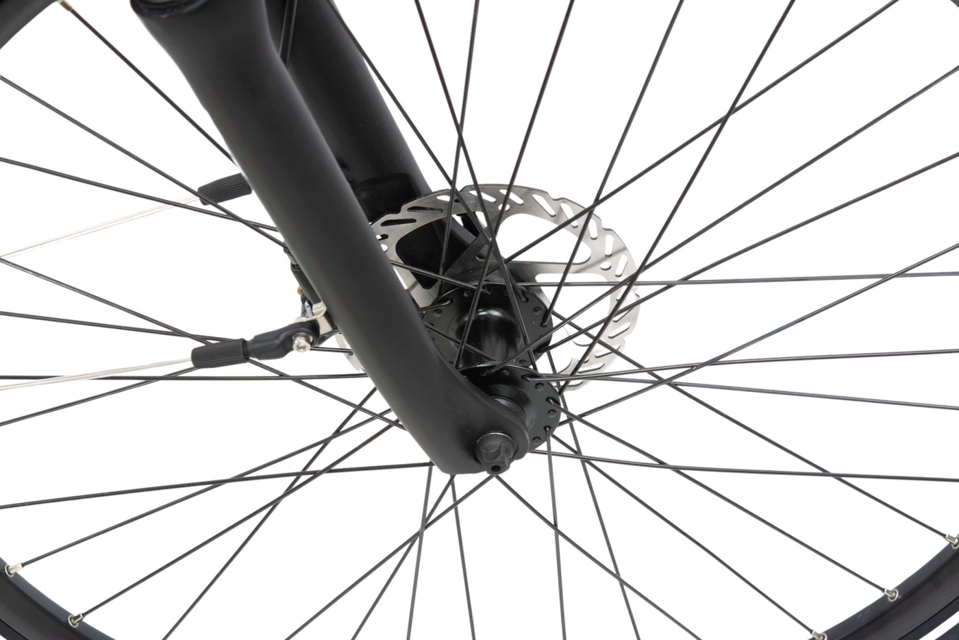 F.lli Schiano E-Wave, E Bike Trekking 28 Zoll, 36V 11.6Ah Abnehmbarer Akku, Motor 250W 50Nm, Trekking EBike für Herren/Damen, Weiss