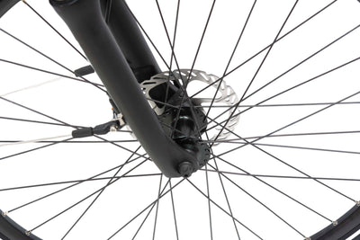 F.lli Schiano E-Wave, E Bike Trekking 28 Zoll, 36V 11.6Ah Abnehmbarer Akku, Motor 250W 50Nm, Trekking EBike für Herren/Damen, Weiss