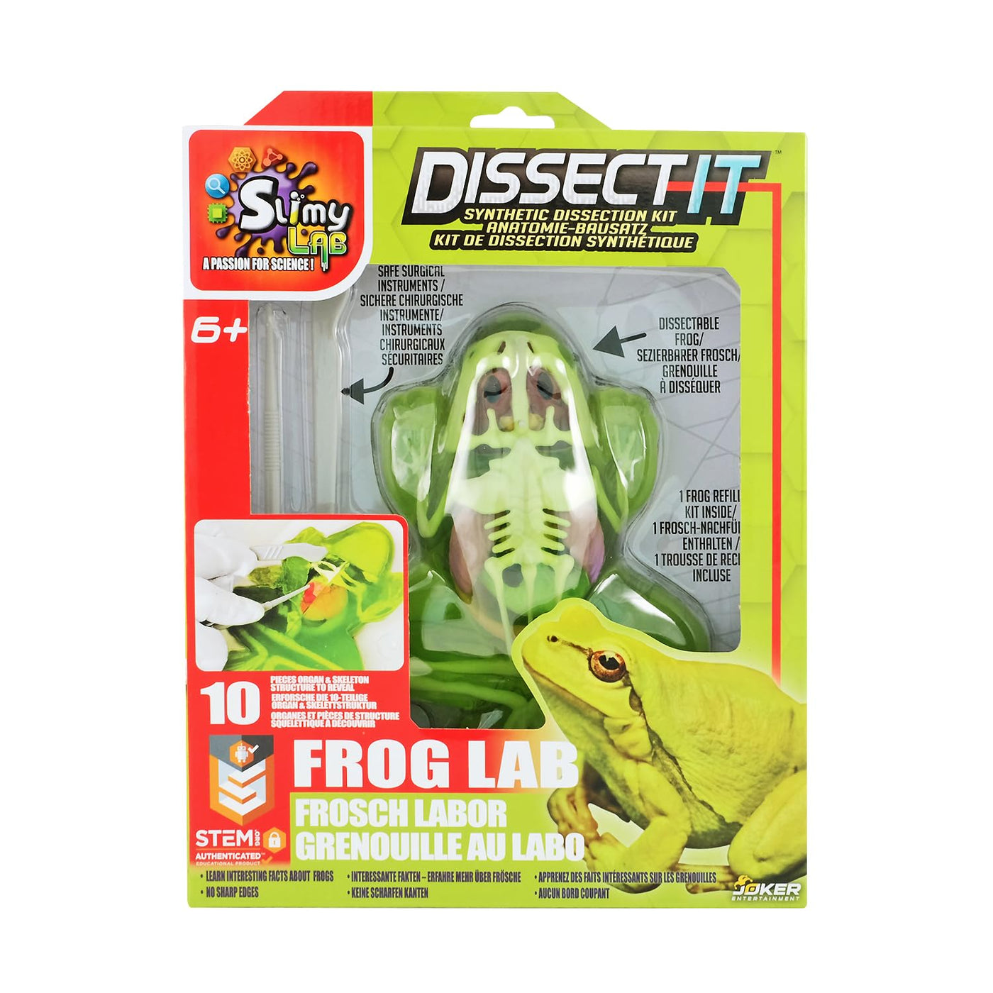 Original SLIMY Lab Dissect-IT Frosch - Experimentieren & Forschen Sezier-Set - Schleim Labor, prämiertes STEM/Mint Lernspielzeug, Slime-Set mit Spielknete und Sezierwerkzeug