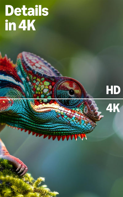 Amazon Fire TV 4-Serie (neueste Generation), 43-Zoll-Smart-TV in 4K Ultra-HD mit Alexa-Fernbedienung, HDR10+, schnellem Prozessor, Dolby Audio, Ambient-TV und kostenlosem Live-TV