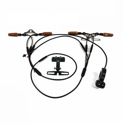 Elektrisches Fahrrad 36V 48V 52V 72V Lenklicht Set Kit Schalter Links Rechts Turn (V03 24-48V M6)
