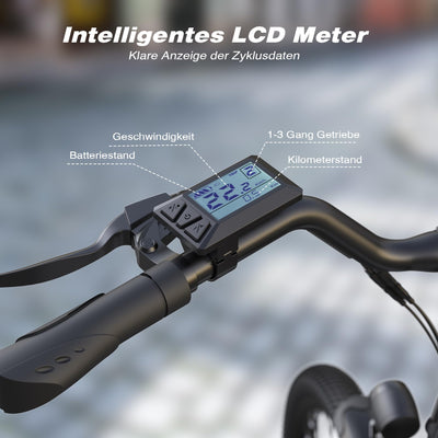VARUN E Bike 26 Zoll, City E-Bike Damen Herren mit 250W Motor, 𝟒𝟖𝐕 Li-Ion Akku, Elektrofahrrad mit 𝐋𝐂𝐃 Display, 𝟒 Fahrmodi, City E-Fahrrad mit bis zu 𝟖𝟎𝐊𝐌