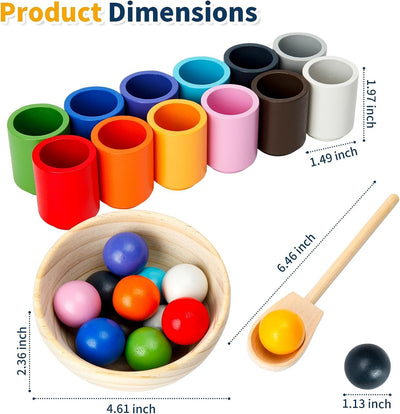 Montessori Spielzeug ab 3 Jahr, Holz Sortier Stapelspielzeug, 12 Kugeln 30 mm Regenbogen Holzkugeln in Tassen, Baby Spielzeug für Vorschule für Farbsortierung und Zählen, Geschenk ab 2 3 4 5 Jahr