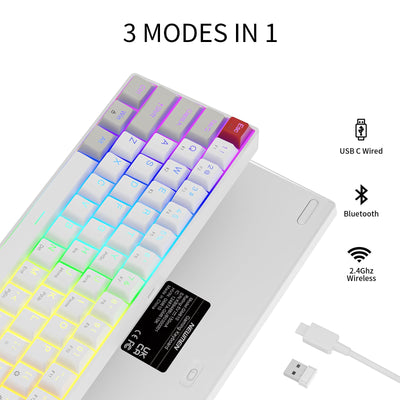 Newmen GM610 Gaming Tastatur Kabellos,60% Prozent Mechanische Bluetooth/2.4Ghz/Mit Kabel,61 Tasten RGB Beleuchtung Hot Swap Anti Ghosting TKL Mini QWERTY Keyboard für PC/Win/Mac,Rote Schalter