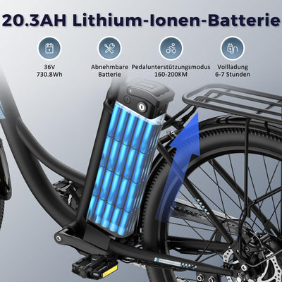 Fafrees F26 Lasting ebike 26 Zoll, E Bike Damen Herren 36V 20.3Ah Akku, Elektrofahrrad 250W 25km/h, City E-Bike Reichweite 80-200km, E Fahrrad Pedelec 7S, Belastung 120Kg (Schwarz)