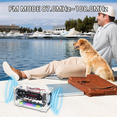 Elektronik Löt Bausatz Radio FM Bluetooth-Lautsprecherkit Erwachsene, 3W+3W Musikspieler mit LED Klangregelung Anzeigeleuchte Löten Ubungsset und Fernbedienung Schulelektronik Ausbildung Geburtstag