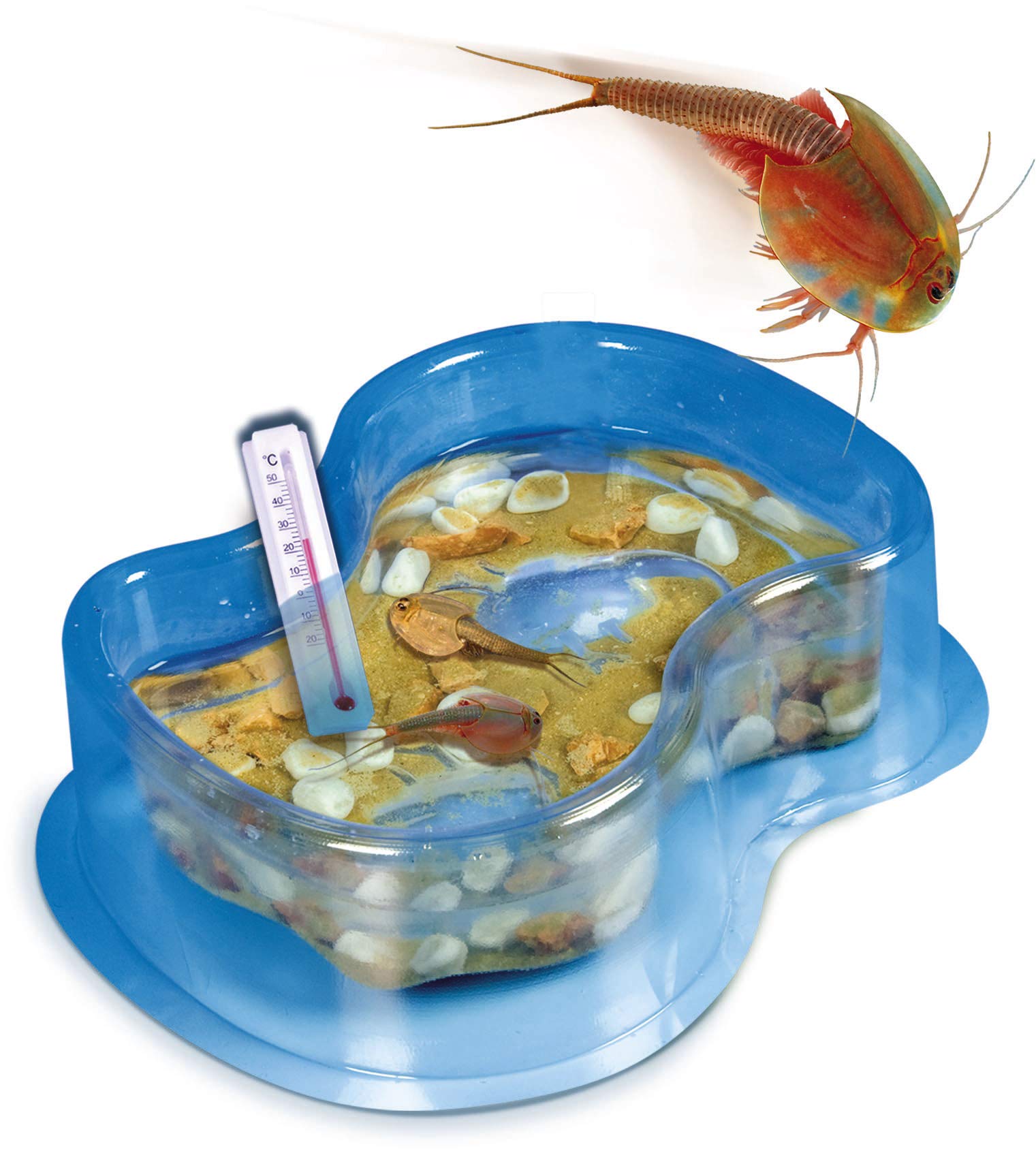 forscher spielzeug Clementoni Galileo Lab Original Triops Nachfüll-Set - Züchten & Beobac