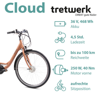 TRETWERK 28 Zoll E-Bike Cloud Mars Metal - E-Citybike Damen Fahrrad mit 7 Gang Nabenschaltung - Elektrofahrrad mit Frontmotor 250W, 36V