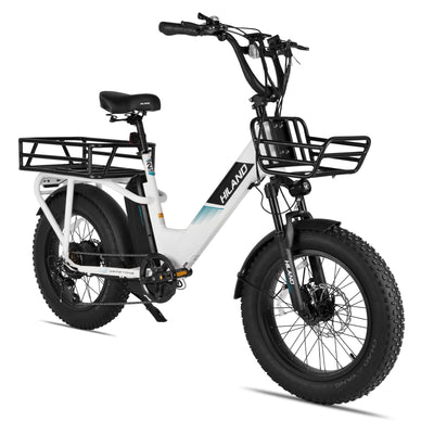HILAND 20 Zoll 4.0 Fat Tire E Bike Cargo für Erwachsene, Aluminium Alloy Frame Fat Tire Elektrofahrrad, Suspension Fork Elektrofahrrad mit Gepäckträger für Damen und Herren Silber