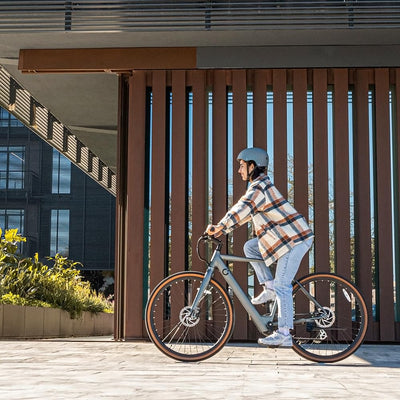 Cecotec Elektro-Stadtfahrrad Sprint Silver, 250W, 28-Zoll-Räder, 70 km Reichweite, 360 Wh Batterie, Shimano Altus 8-Gang-Schaltung und Doppel-Hydraulikbremsscheiben