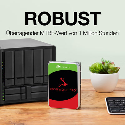 Seagate IronWolf NAS 12 TB Interne Festplatte ST12000VN0007 3,5 Zoll HDD 7200RPM 256MB SATA3 (Generalüberholt)
