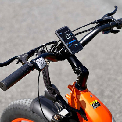 LANKELEISI E Bike Elektrofahrräder-Ebike mit 48V 20Ah Akku, E-Bike Herren 26 x 4.0 Zoll, 7-Gang-All-Terrain Fat Bike mit Drehmomentsensor, Reichweite bis zu 150km