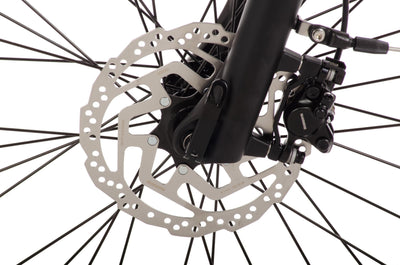 Rucanor Denver E-Bike 28″ (48 cm) – Riemenantrieb, Hydraulische Scheibenbremsen, 550 Wh Akku, matt schwarz – Damen