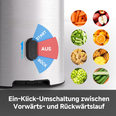 AMZCHEF Entsafter - Slow Juicer mit 135MM Breite und Größere Fütterungsröhre für Ganze Gemüse und Obst - Leicht zu Reinigender Entsafter mit 2 Gläsern - Silber
