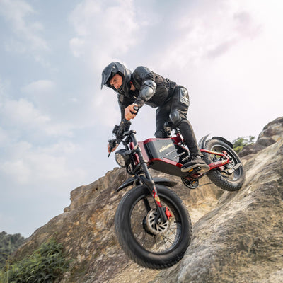 RZOGUWEX Elektrofahrrad, 20 Zoll 160NM Doppelmotor-Offroad-EBIKE für Erwachsene mit abnehmbarem 48V 30AH Lithium-Ionen-Akku, doppelte hydraulische Scheibenbremse