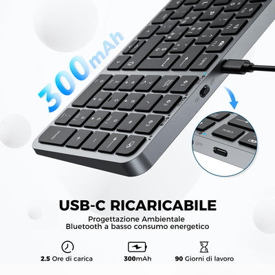 iClever Tastatur