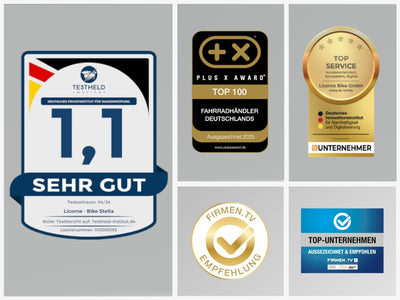 Licorne Bike Stella Premium City Bike in 24,26 und 28 Zoll - Fahrrad für Mädchen, Jungen, Herren und Damen - 21 Gang-Schaltung - Hollandfahrrad Citybike (Weiss, 24.00)