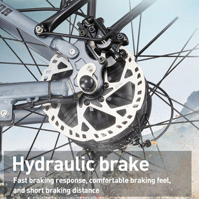 BURCHDA RX80 Elektrisches Mountainbike für Erwachsene, 26 Zoll 4.0 Fat Tire, 48V20AH Batterie 7-Gang Öl-Doppelbremse, Dual Shock Absorption Elektrofahrrad mit Unterstützung，Mit Heckklappenrahmen