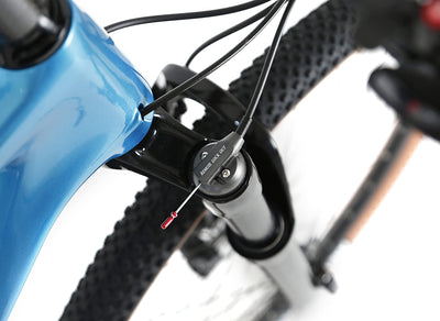 ICE MT10 Mountainbike, Rahmen aus Carbonfaser, 29 Zoll, 12 V, Farbe: Schwarz (19 Zoll)