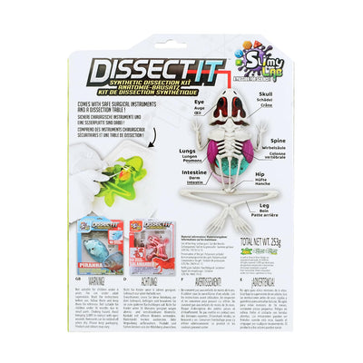 Original SLIMY Lab Dissect-IT Frosch - Experimentieren & Forschen Sezier-Set - Schleim Labor, prämiertes STEM/Mint Lernspielzeug, Slime-Set mit Spielknete und Sezierwerkzeug