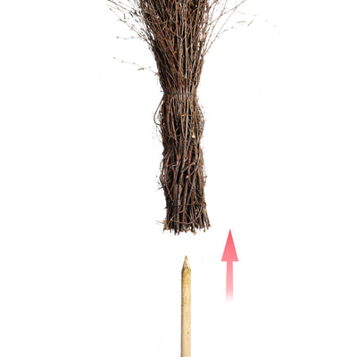 Weidenbesen 150cm lang | Besen Hexenbesen mit Stiel Naturbesen Reisigbesen Dekobesen braun