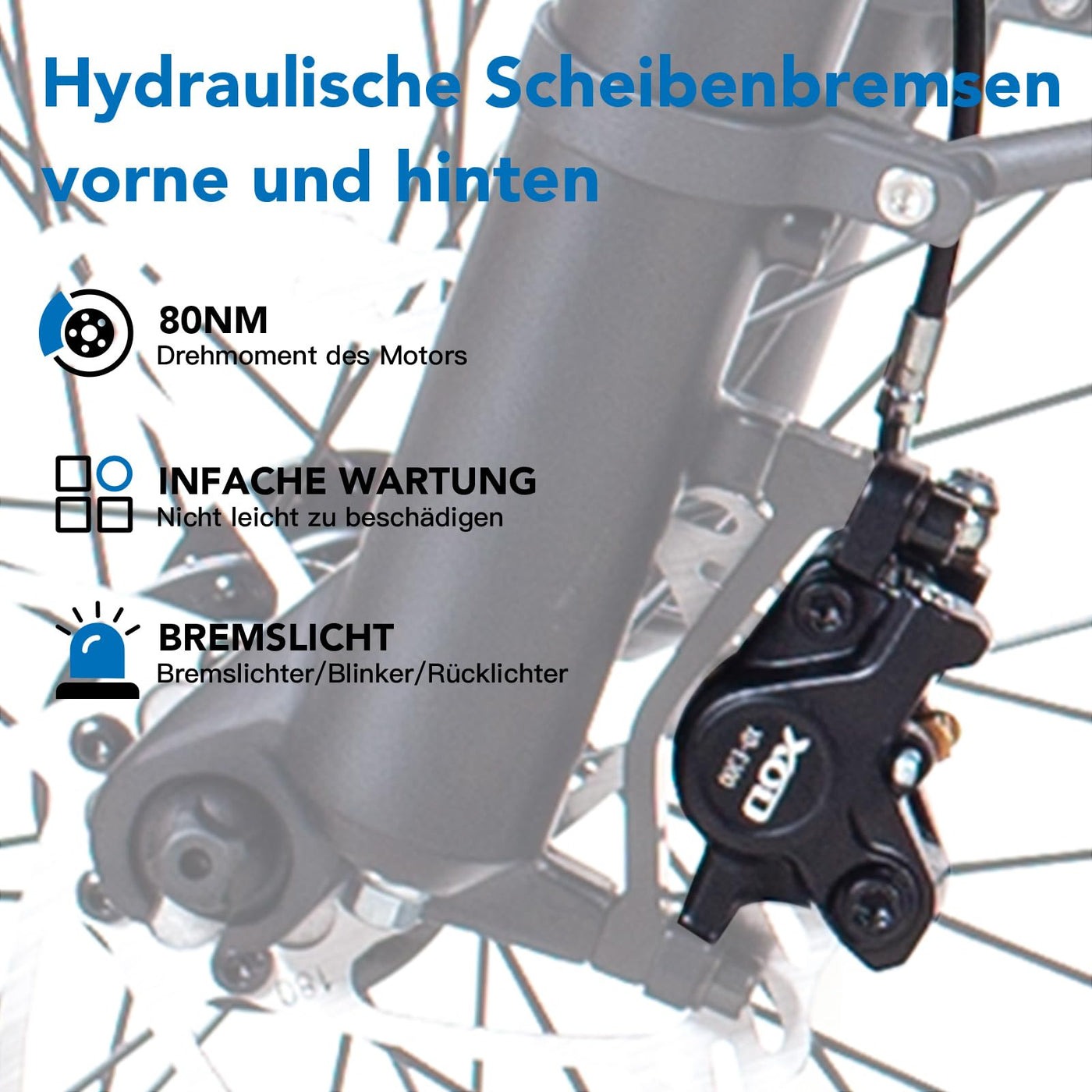 HAOQI Eagle Elektrofahrrad für Erwachsene, 250W bürstenloser Motor Mountainbike mit 48V 20AH herausnehmbarem Akku,26" x 4.0 Fat Tire Ebike, Elektrofahrrad mit 7 Gängen bis zu 25 km/h